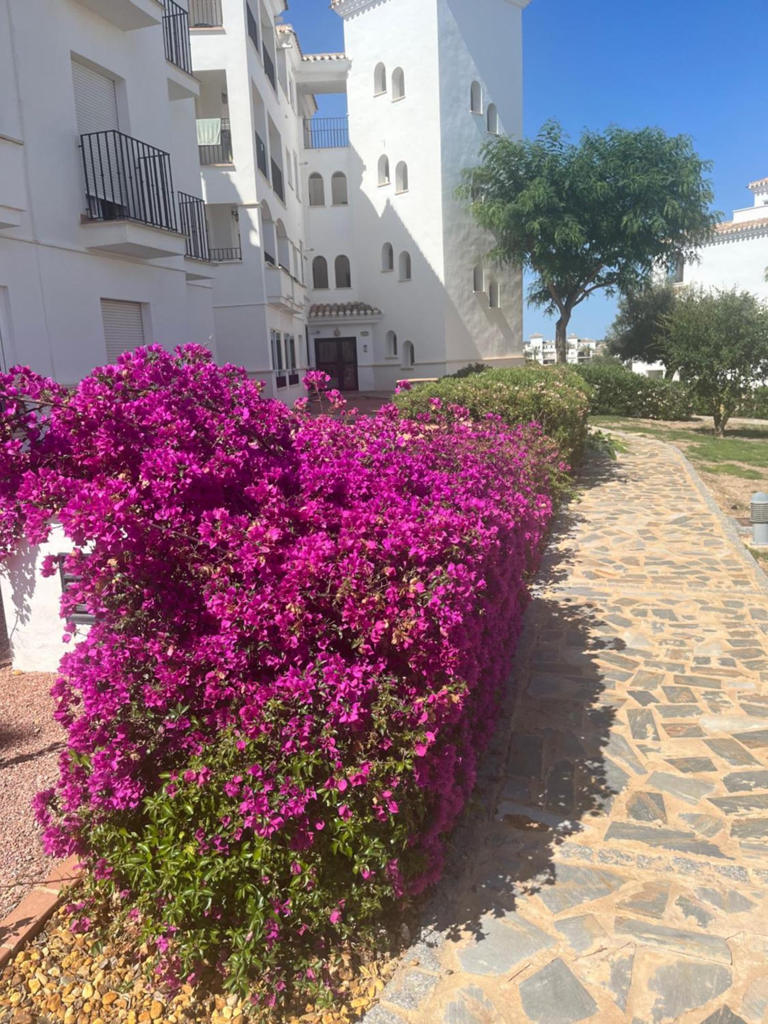 La Casa Rosita, Hacienda Riquelme Golf Resort Sucina Мурсия Екстериор снимка